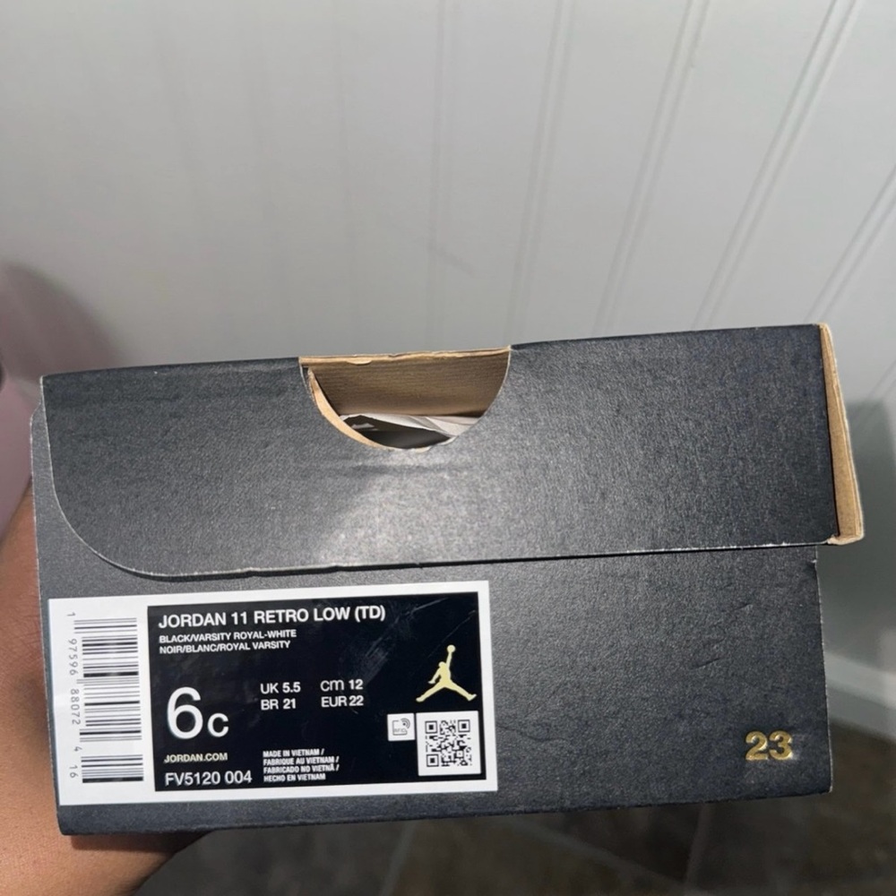 Jordan 11 Retro Low TD in Black and Gold